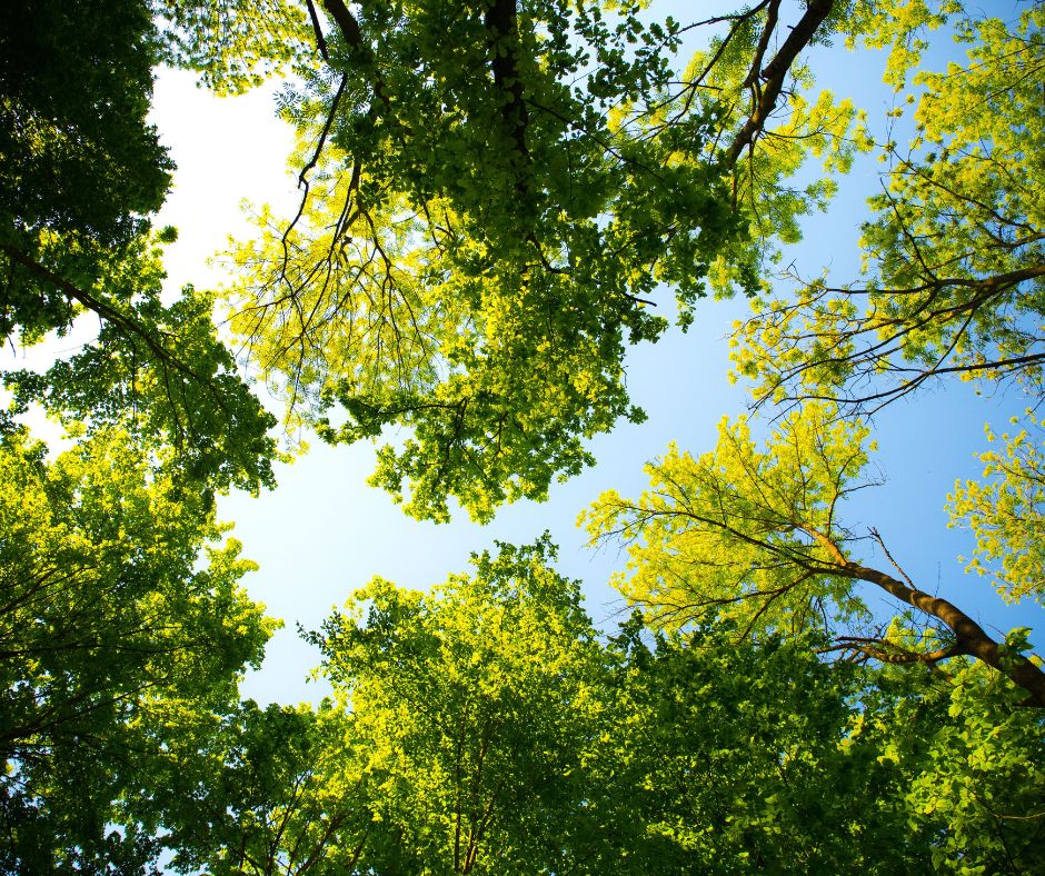 How the Right Compressed Air Pipe Can Support Your Sustainability Goals