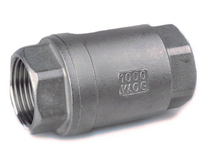 SS 2 piece Non Return Valve