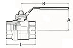 SS Self venting ball valve 2 piece lockable