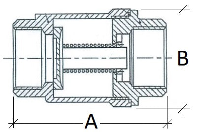 SS 2 piece Non Return Valve